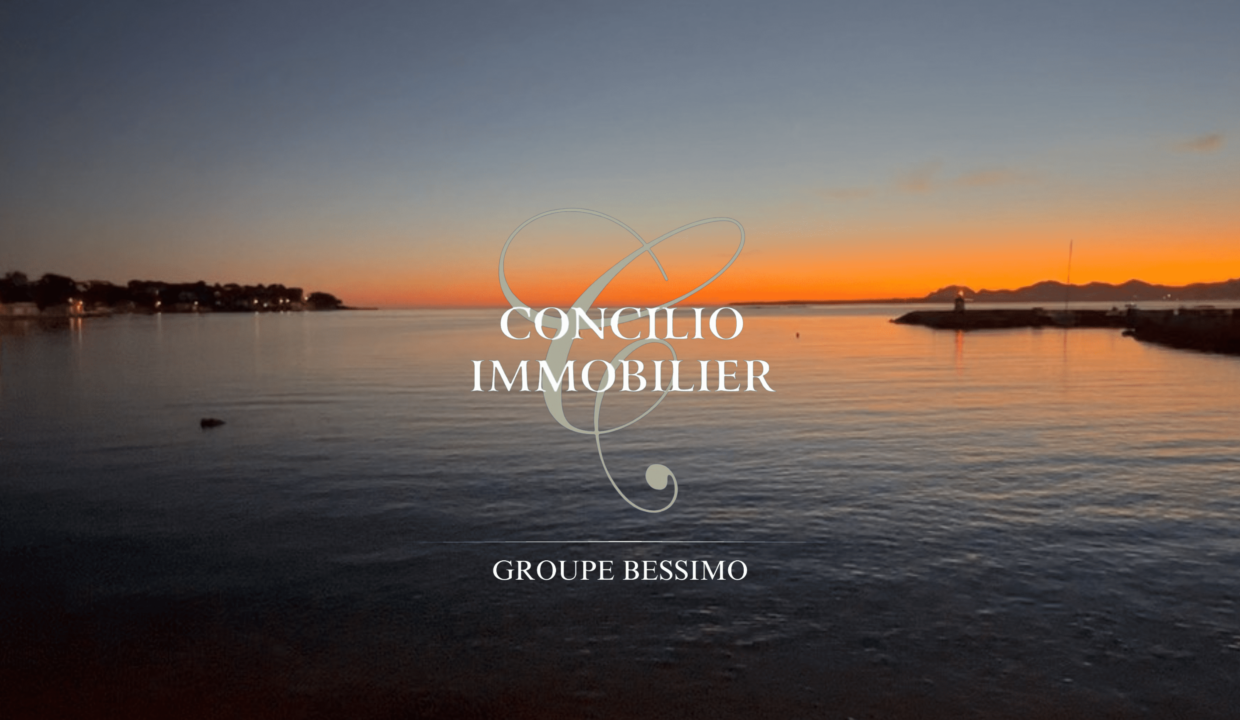 visuels-Concilio-55402402-81166-38