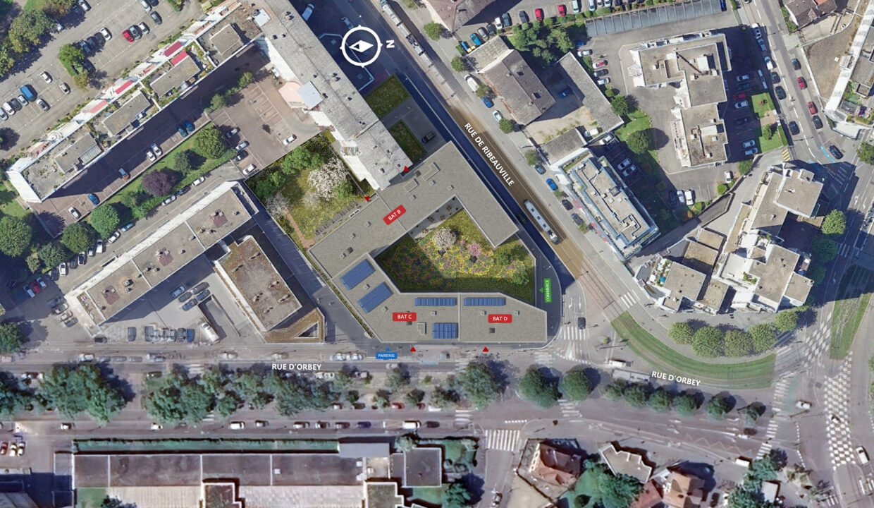 Web - Plan masse